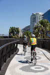 04 Project Sydney Cycleway Ruth Gold