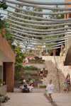 06 NEWS Surry Hills Village Tom Roe