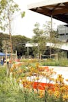 APSECT Studios News Sydney Fish Markets2