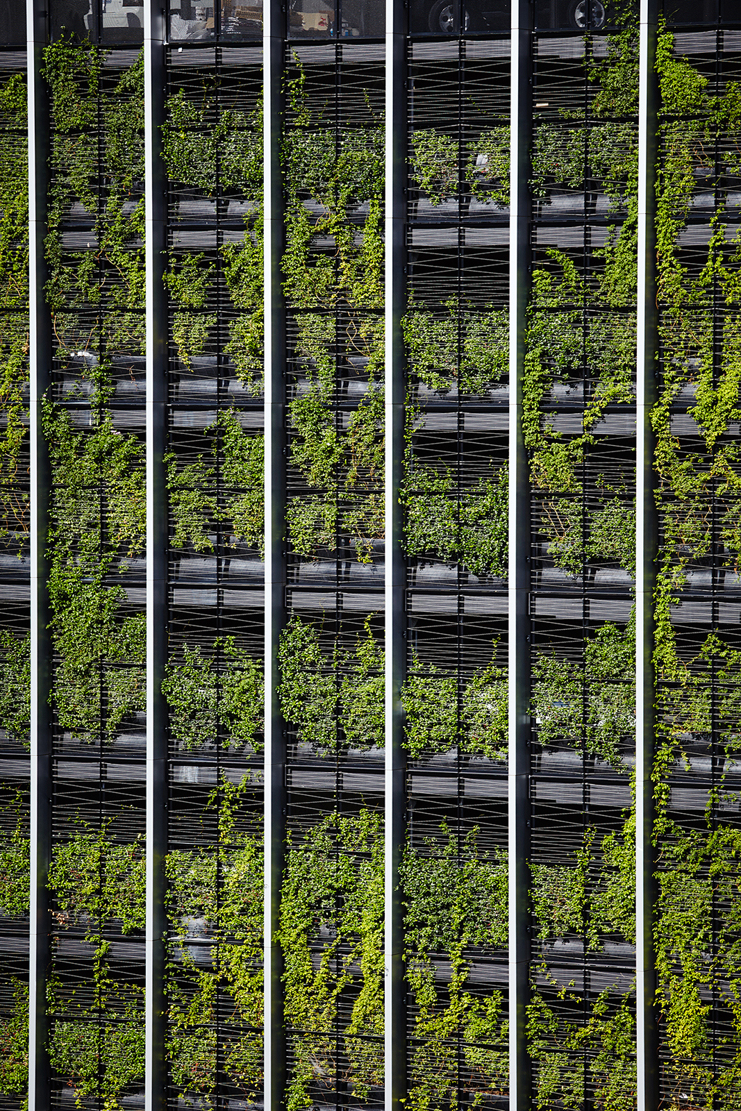 Green infrastructure & living architecture | ASPECT Studios - Green Infrastructure Penthouse Buildings