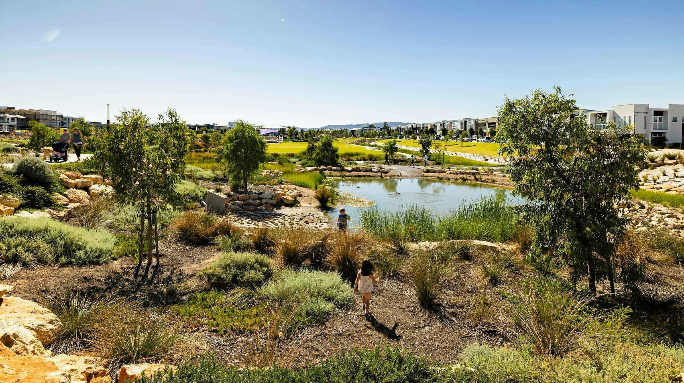 Lightsview Estate | ASPECT Studios