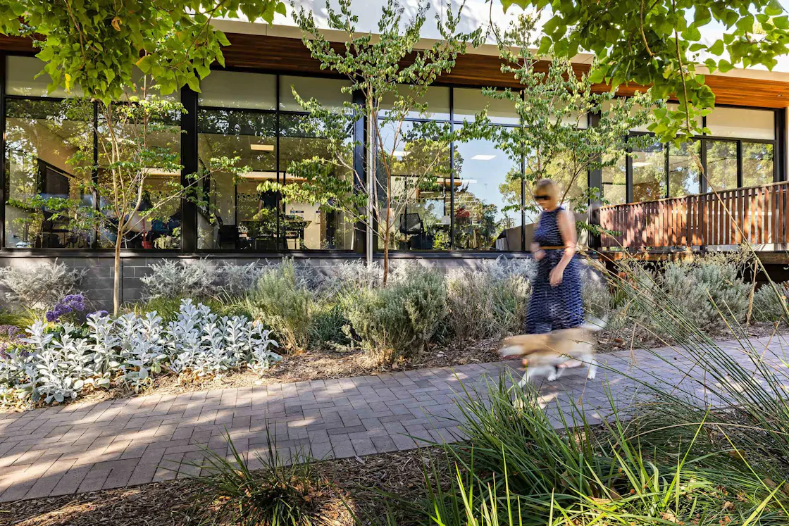 Mitcham Library and Brown Hill Creek | ASPECT Studios