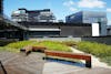 AS Green Roof Think Piece 02