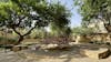 Richard Bodekker Park Riyadh 01