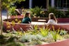 ASPECT Google Courtyard Sydney 000233